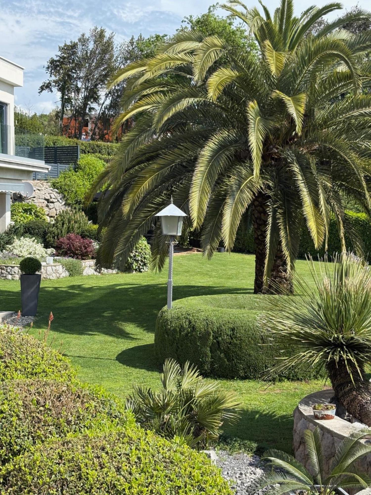Bed And Breakfast Villa Iris Mošćenička Draga Dış mekan fotoğraf
