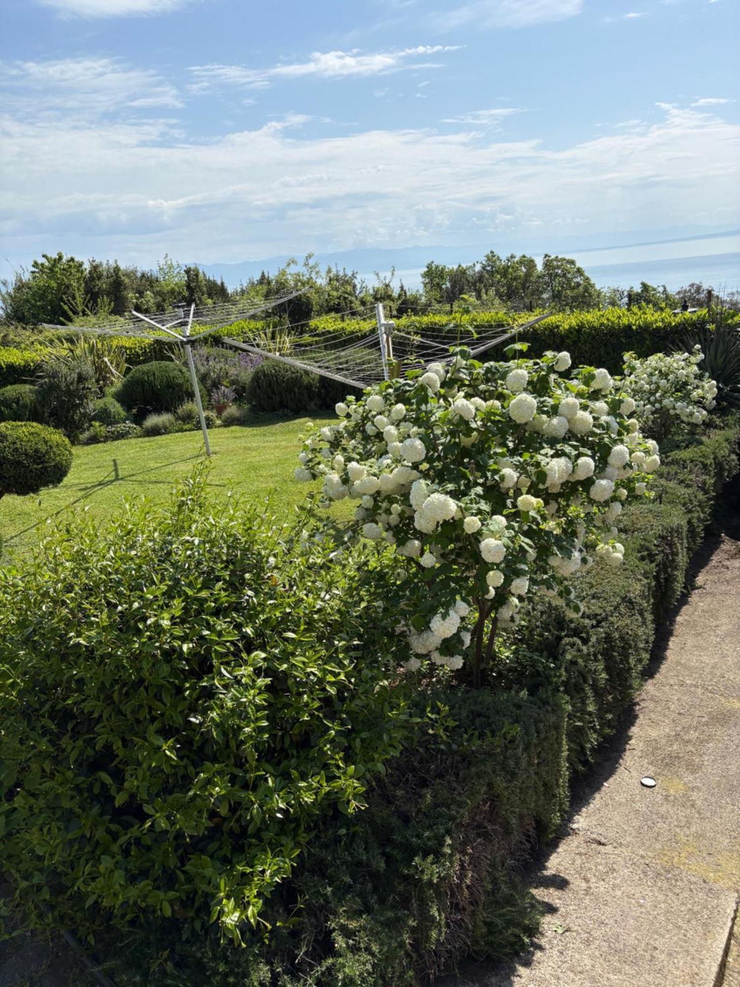Bed And Breakfast Villa Iris Mošćenička Draga Dış mekan fotoğraf