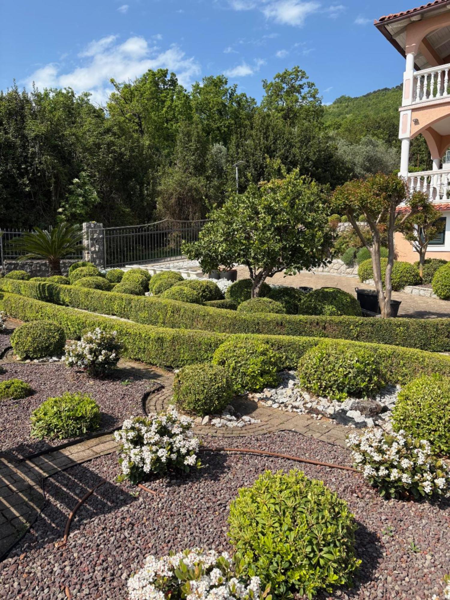 Bed And Breakfast Villa Iris Mošćenička Draga Dış mekan fotoğraf