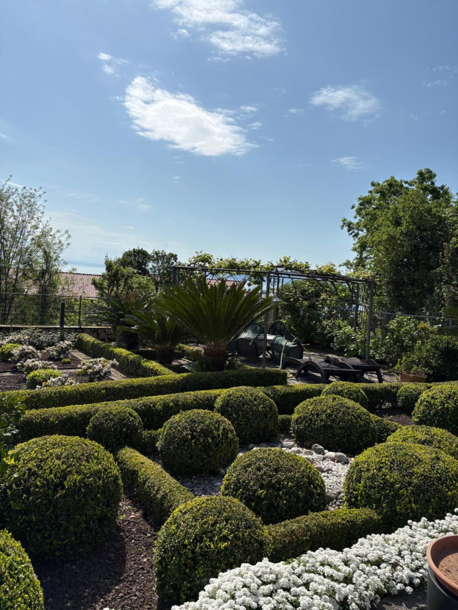 Bed And Breakfast Villa Iris Mošćenička Draga Dış mekan fotoğraf