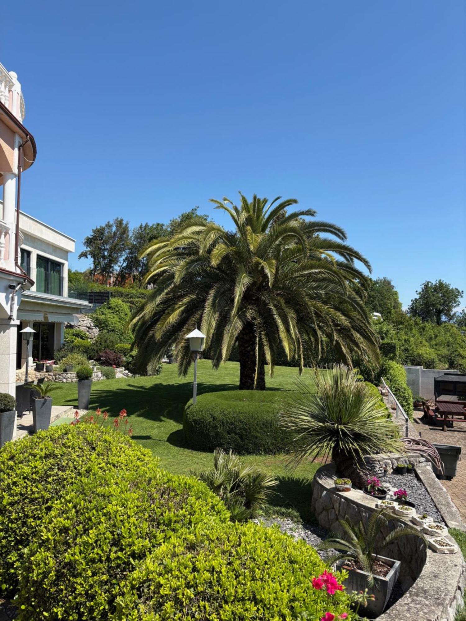 Bed And Breakfast Villa Iris Mošćenička Draga Dış mekan fotoğraf