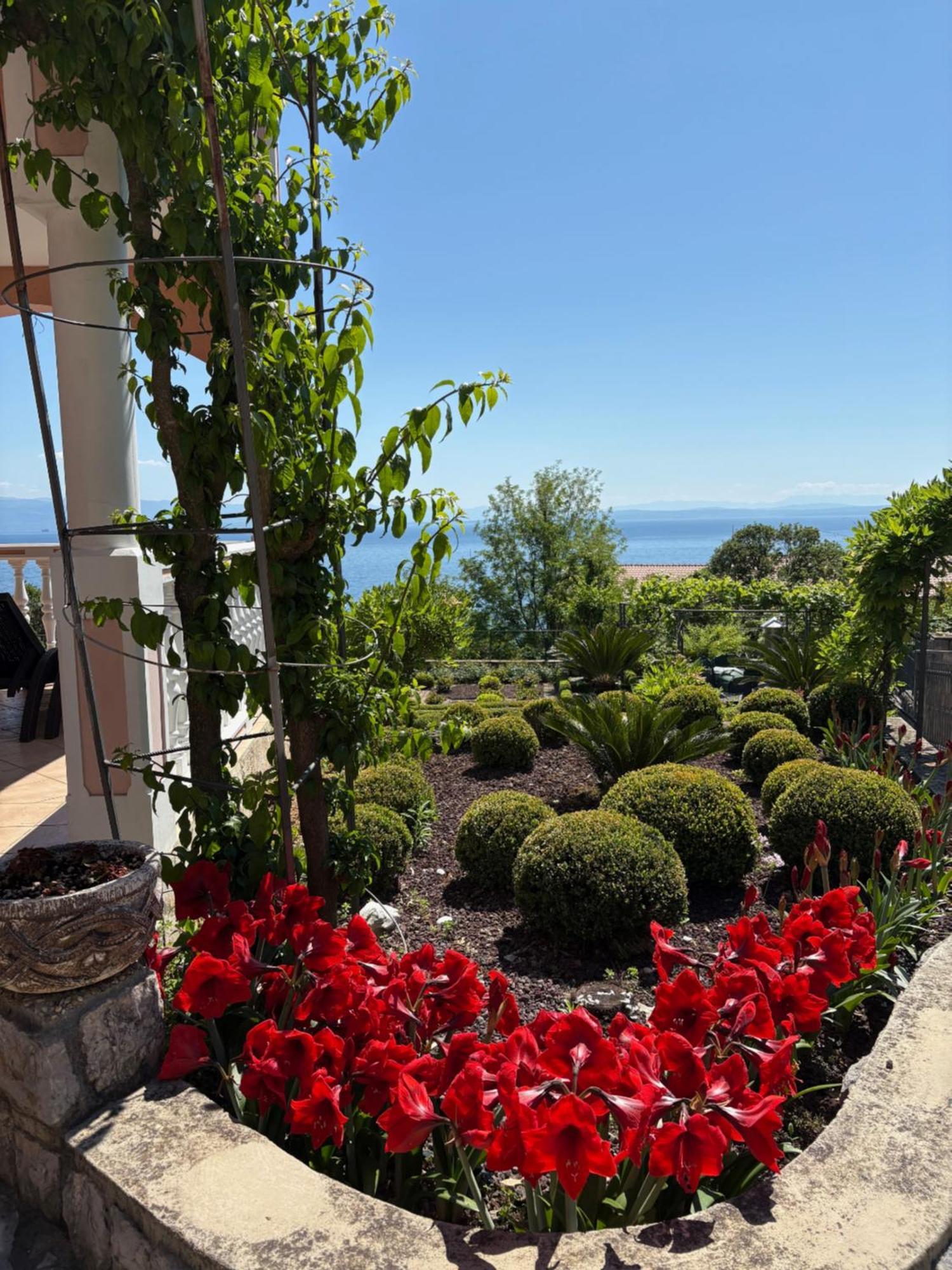 Bed And Breakfast Villa Iris Mošćenička Draga Dış mekan fotoğraf